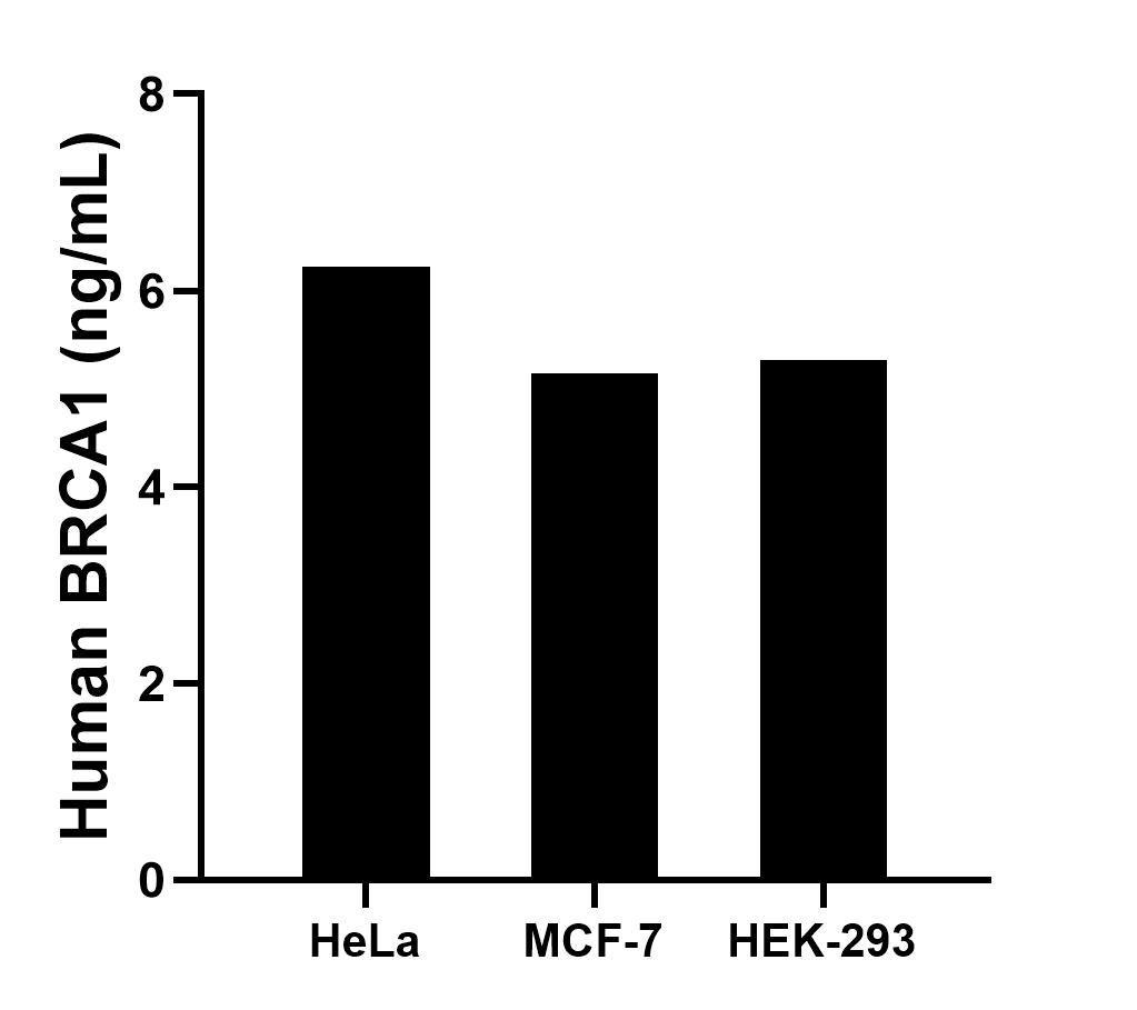 Sample test of MP00425-2